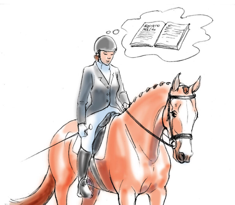 DressageExcellence_2 copy