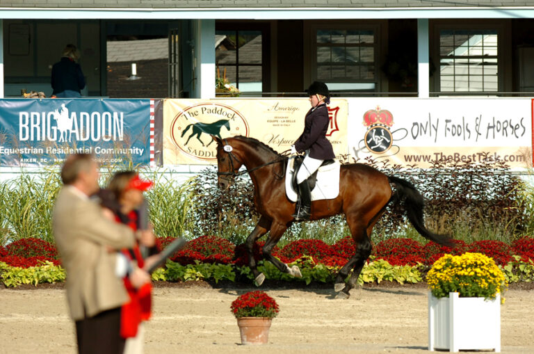 DressageJudge2
