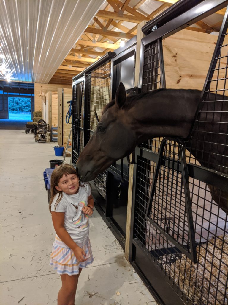 horses at home